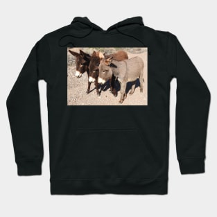 Wild burros, donkeys, wildlife, Wild Burro Buddies Hoodie